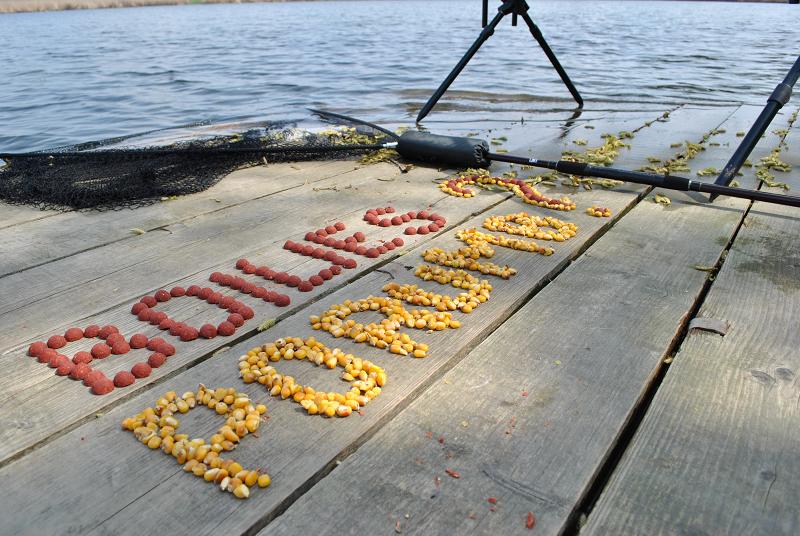 Solubile sau mamaliga ? Snowman sau Tehnopufi? Nade nutritive sau nu ?